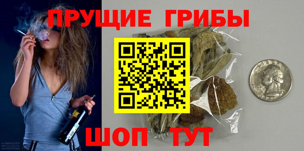 Галлюциногенные грибы MAGIC MUSHROOMS  Вход с VPN  Псилоцибиновые грибы мицелий  хочу наркоту  Касимов 