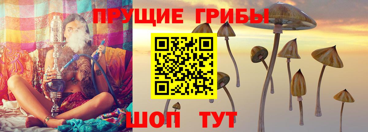 Галлюциногенные грибы Magic Shrooms Касимов
